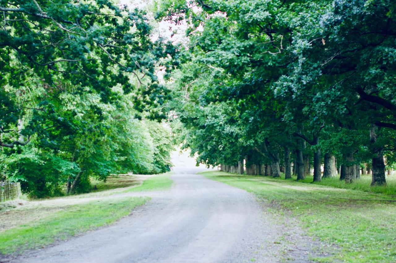 Wallingford Homestead Zewnętrze zdjęcie
