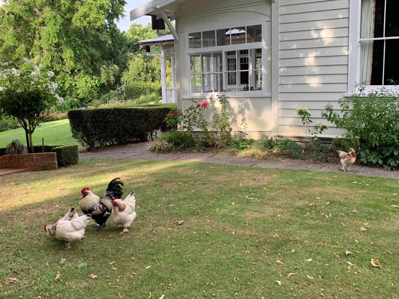 Wallingford Homestead Zewnętrze zdjęcie