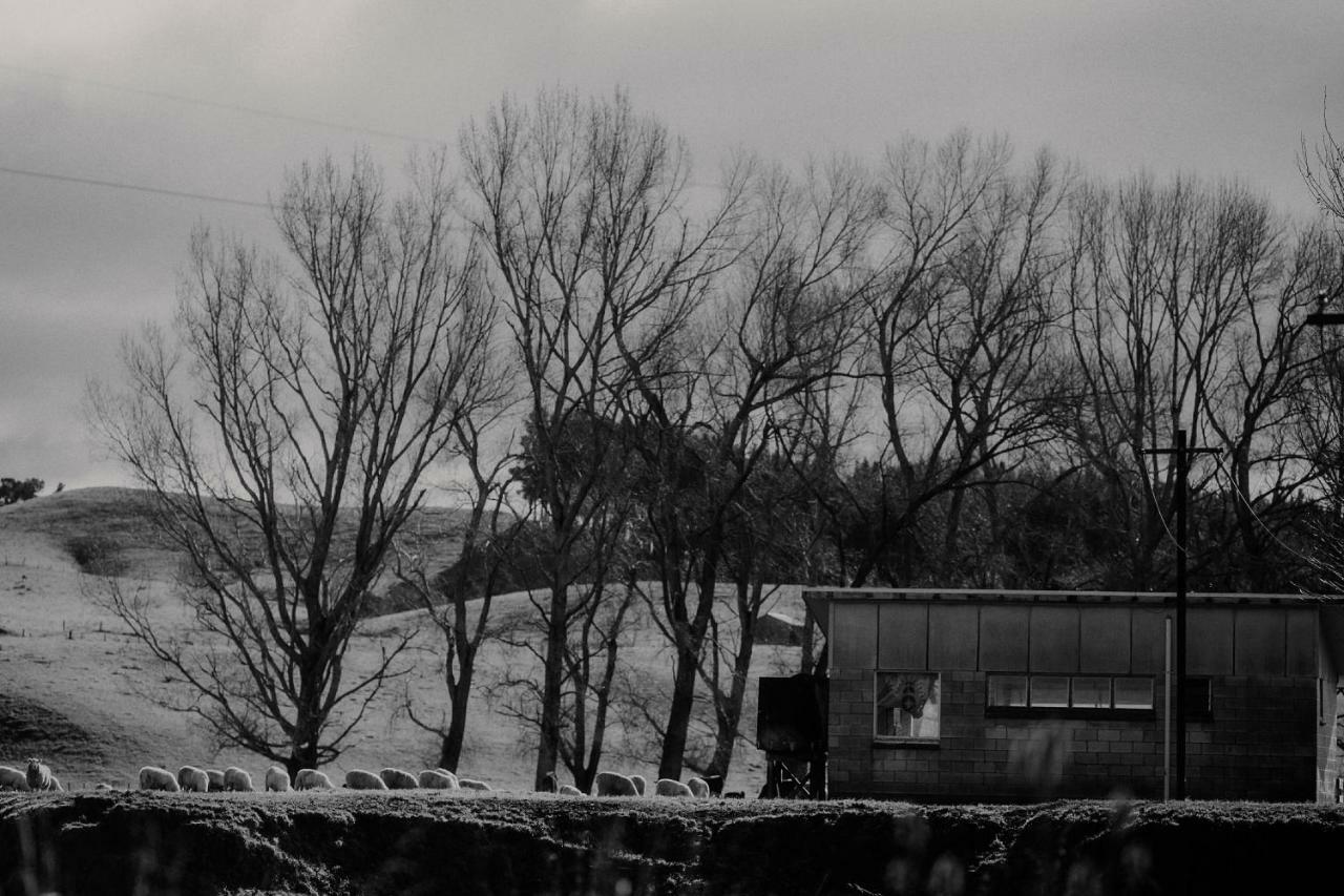 Wallingford Homestead Zewnętrze zdjęcie