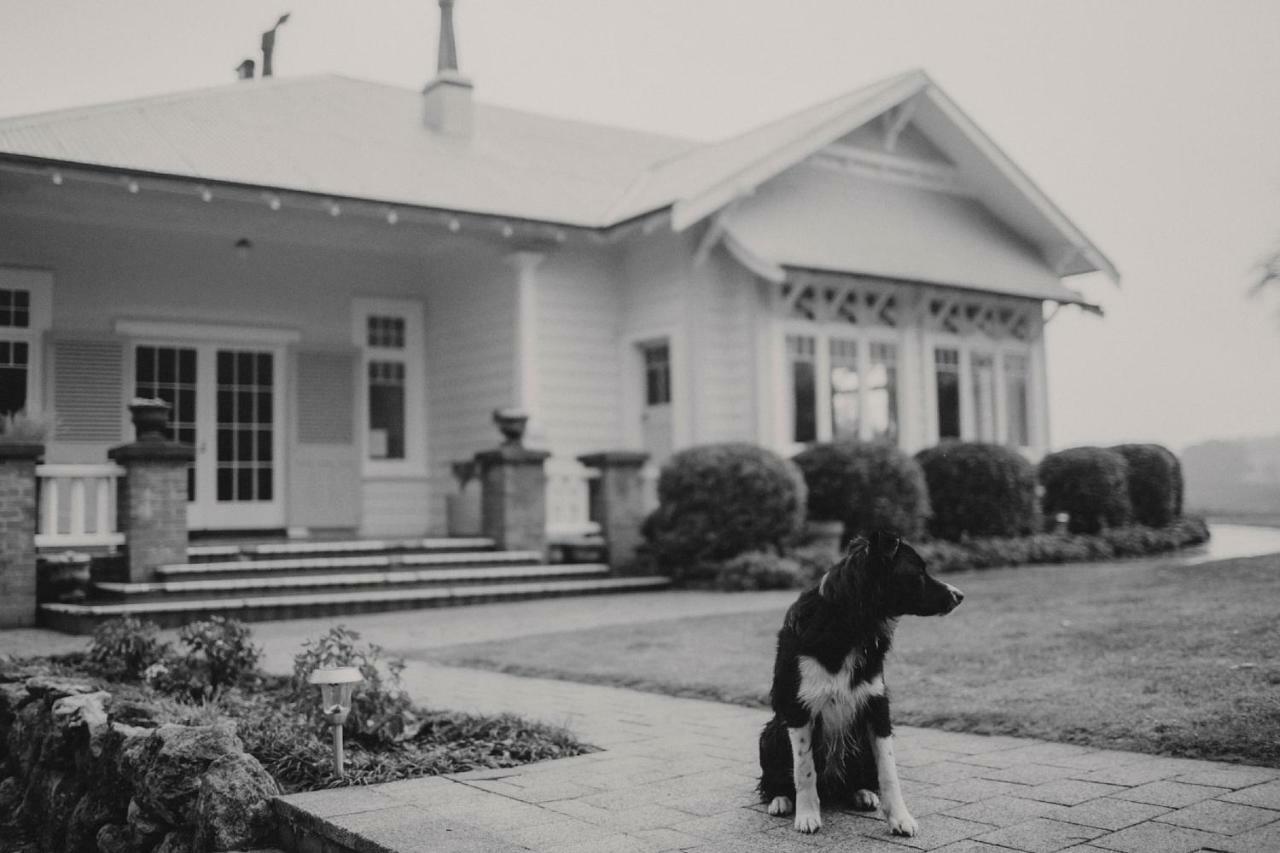 Wallingford Homestead Zewnętrze zdjęcie